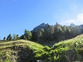 IMG_5324
