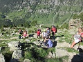 IMG_5331