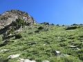 IMG_5332