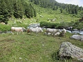 IMG_5363