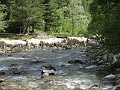 IMG_5367