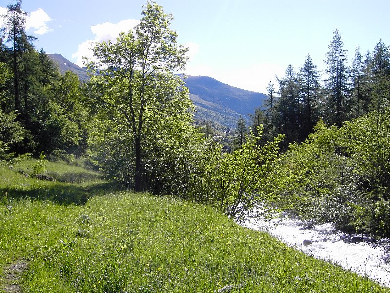 PICT3827.JPG