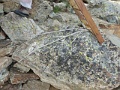 P1160655