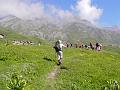 PICT2640