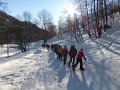 1904084_514542505333662_1857119307_n