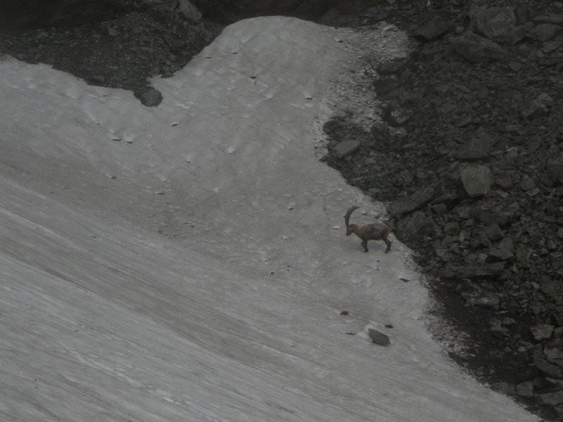DSCN2933.JPG