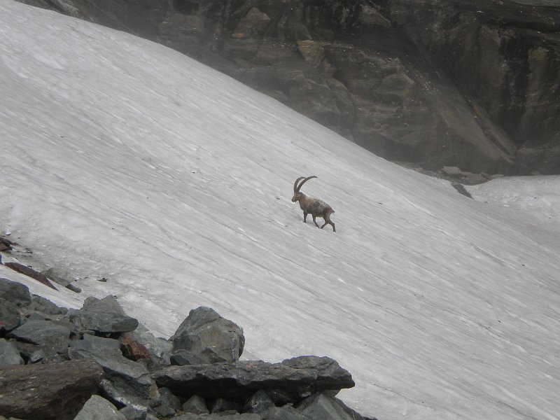 DSCN2934.JPG