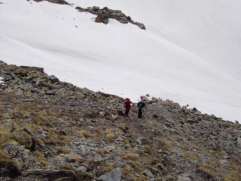 PICT3731.JPG