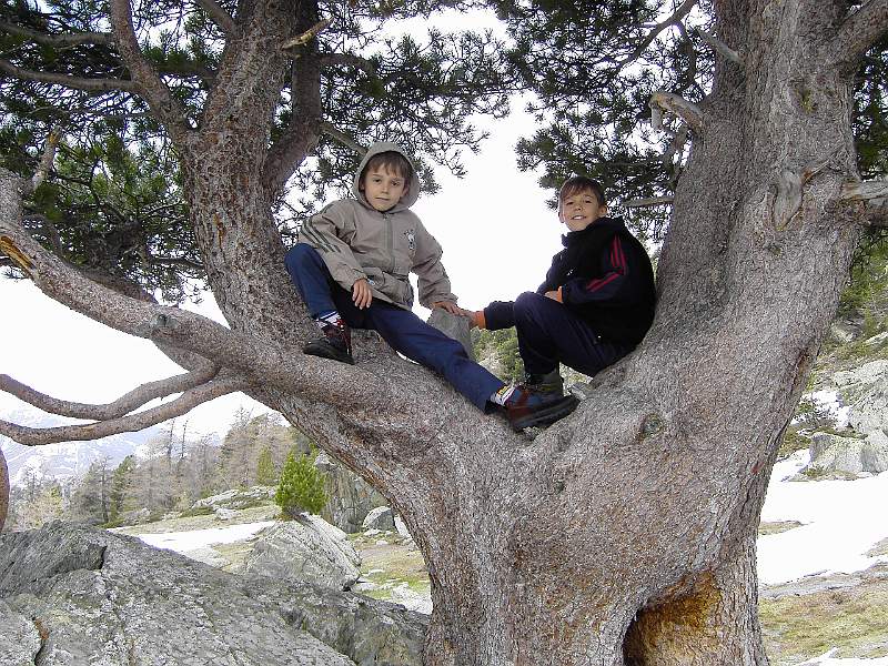 PICT3768.JPG