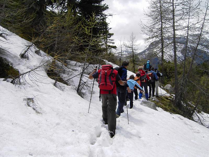 PICT3784.JPG