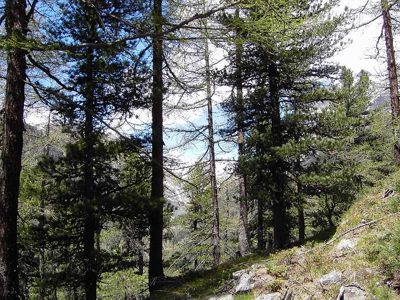 PICT3793.JPG