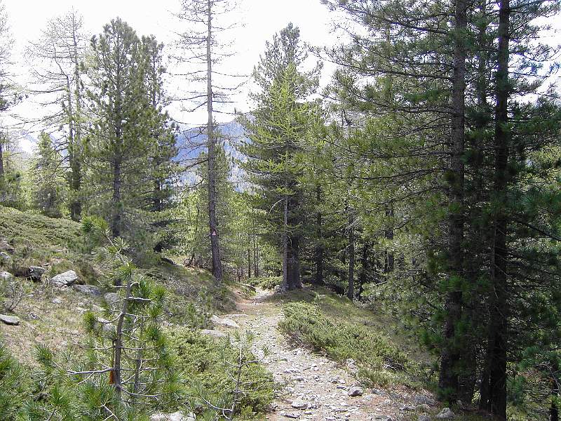 PICT3794.JPG