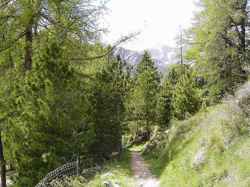 PICT3801.JPG