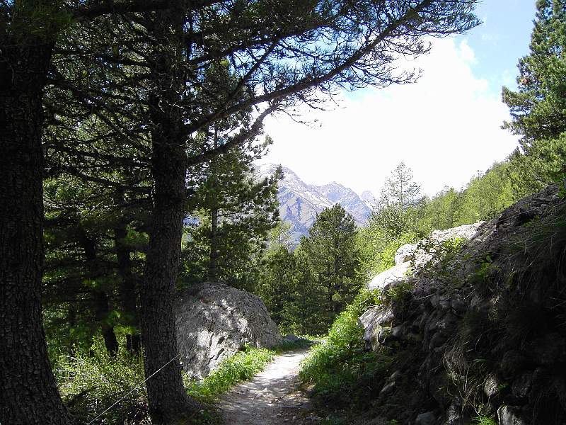 PICT3805.JPG