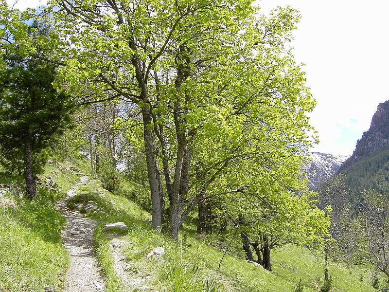 PICT3807.JPG