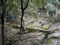 PICT3463