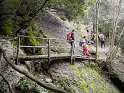 PICT3515