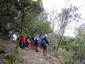 PICT3516