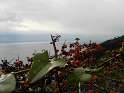 PICT3537