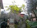 PICT3432