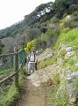 PICT3539