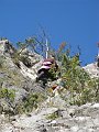 IMG_1867