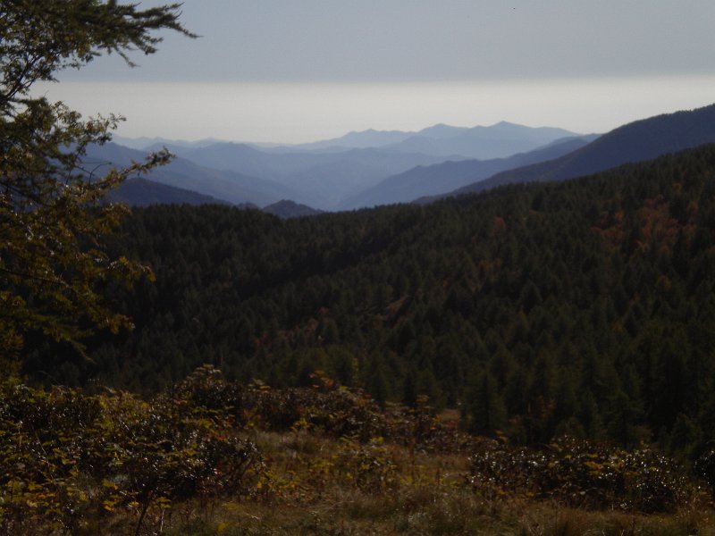 DSCN3259.JPG
