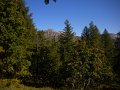DSCN3256
