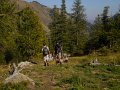 DSCN3293